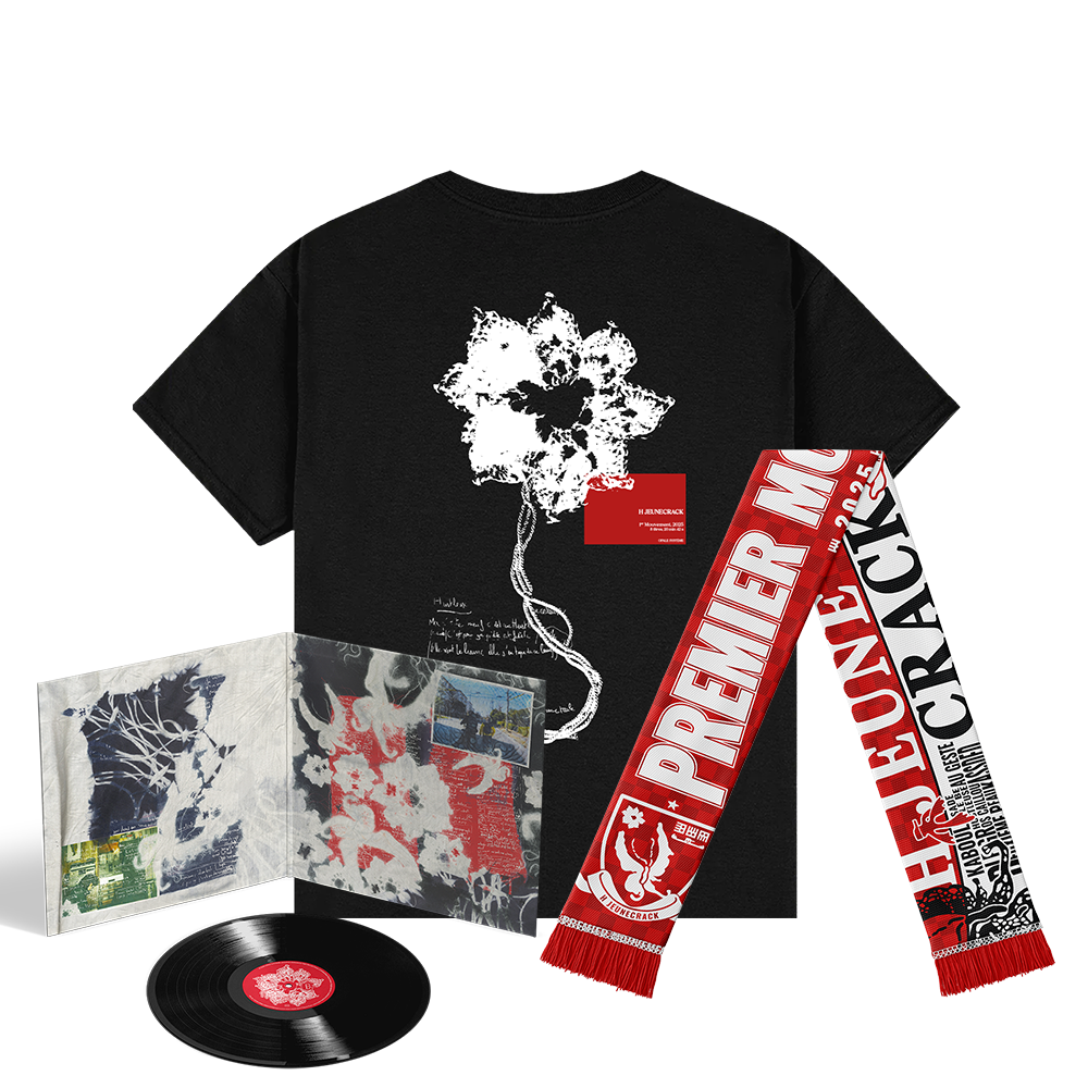 Vinyle + écharpe + t-shirt